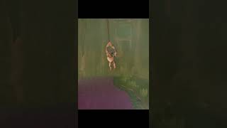 Dusk/Dusklight - Ook Comes to Help - Twilight Princess PC Port