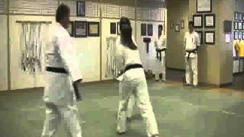 Uechi Ryu Karate - Do - Jiyu Kumite - Part II - Katrina Krise V.S. Edward Slagor
