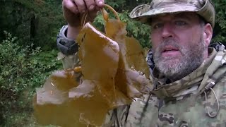 Ten People Compete For Survival And A $500,000 Prize; A Man Eats Raw Seaweed To Sustain Himself.