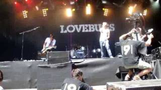 Lovebugs - Back to Life (Gampel 16.08.09)