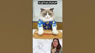 oh no auntie, don't throw away the candy carelessly‼️@ThatLittlePuff