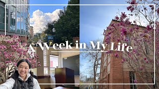 A week in my life at UCLA 🌸🌧️🔬👩🏻‍💻