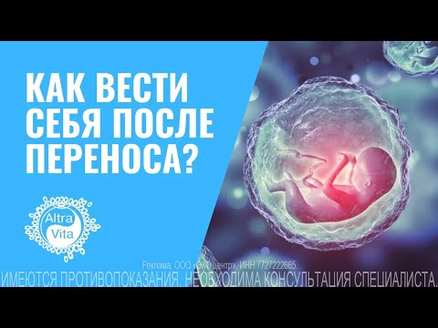 Как вести себя после переноса? #репродукция #эмбрион