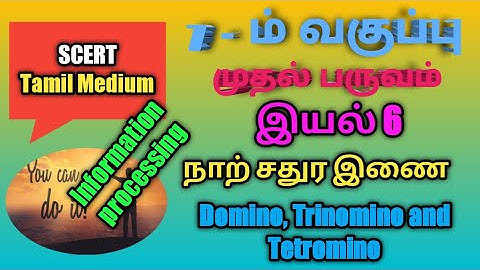 TN samacheer 7th Std 1st term Chapter 6 Information processing, Tetromino, Trinomino and Domino