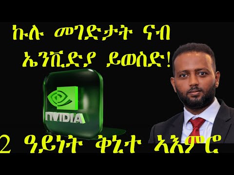 ክልተ ዓይነት ቅኒተ ኣእምሮ ገንዘ ኤንቪድያ ጸብጻብን ካብ ጉግል ዝተረኽበ መኽሰብን Stock Samuelokubay Finance