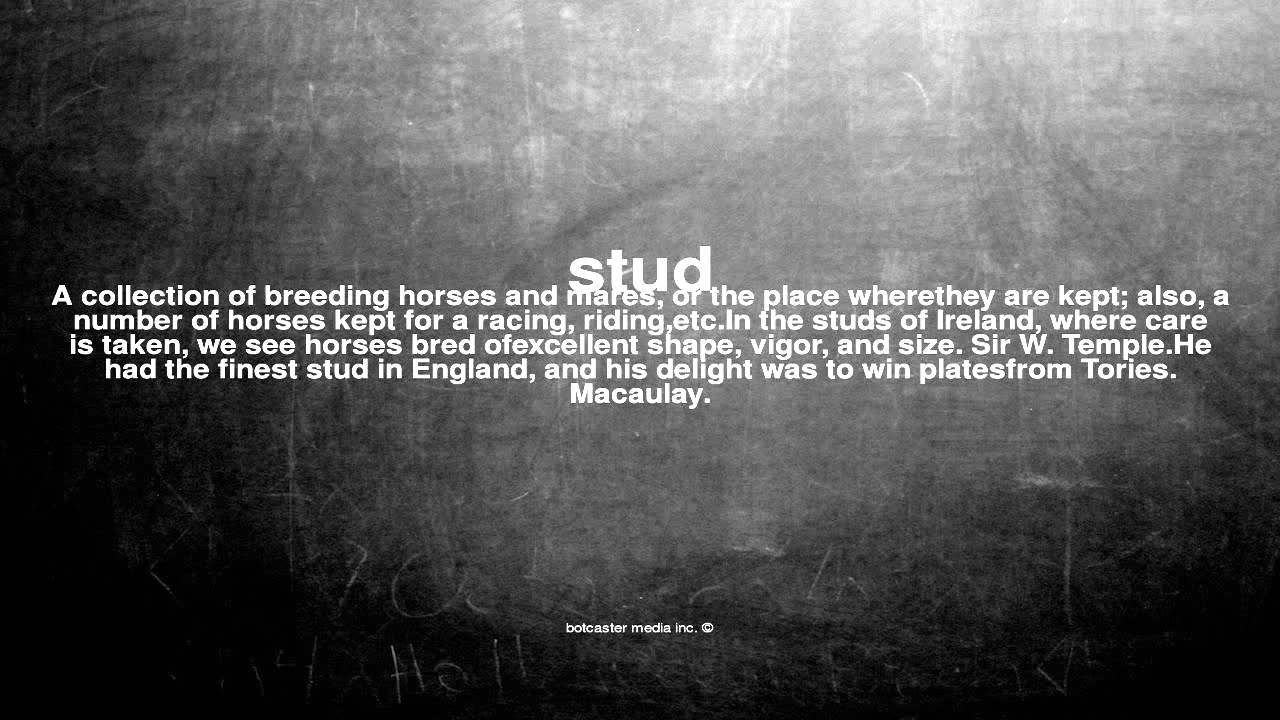 What Does Stud Mean YouTube