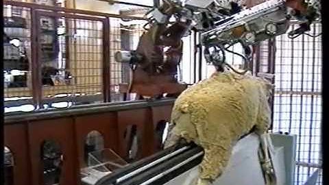Automated Wool Harvesting