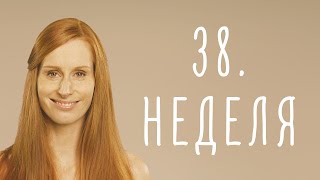 38. неделя беременности