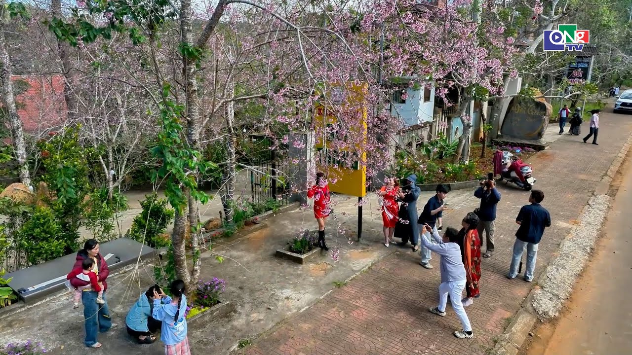 Khu du lịch Măng Đen thu hút đông đảo du khách