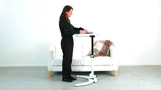 SUN FLEX EASYDESK FOLD