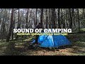 BERKEMAH SENDIRIAN DI HUTAN PINUS SAAT HUJAN || SOLO CAMPING || RAIN CAMPING ASMR