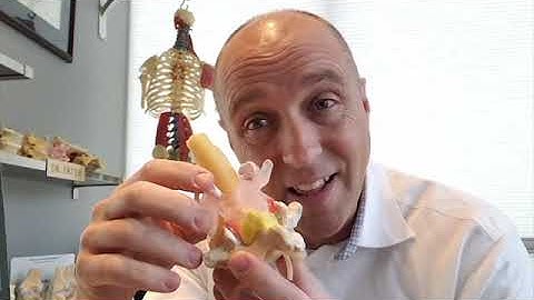 New Professional LxH Dynamic Disc Model - Forward Development