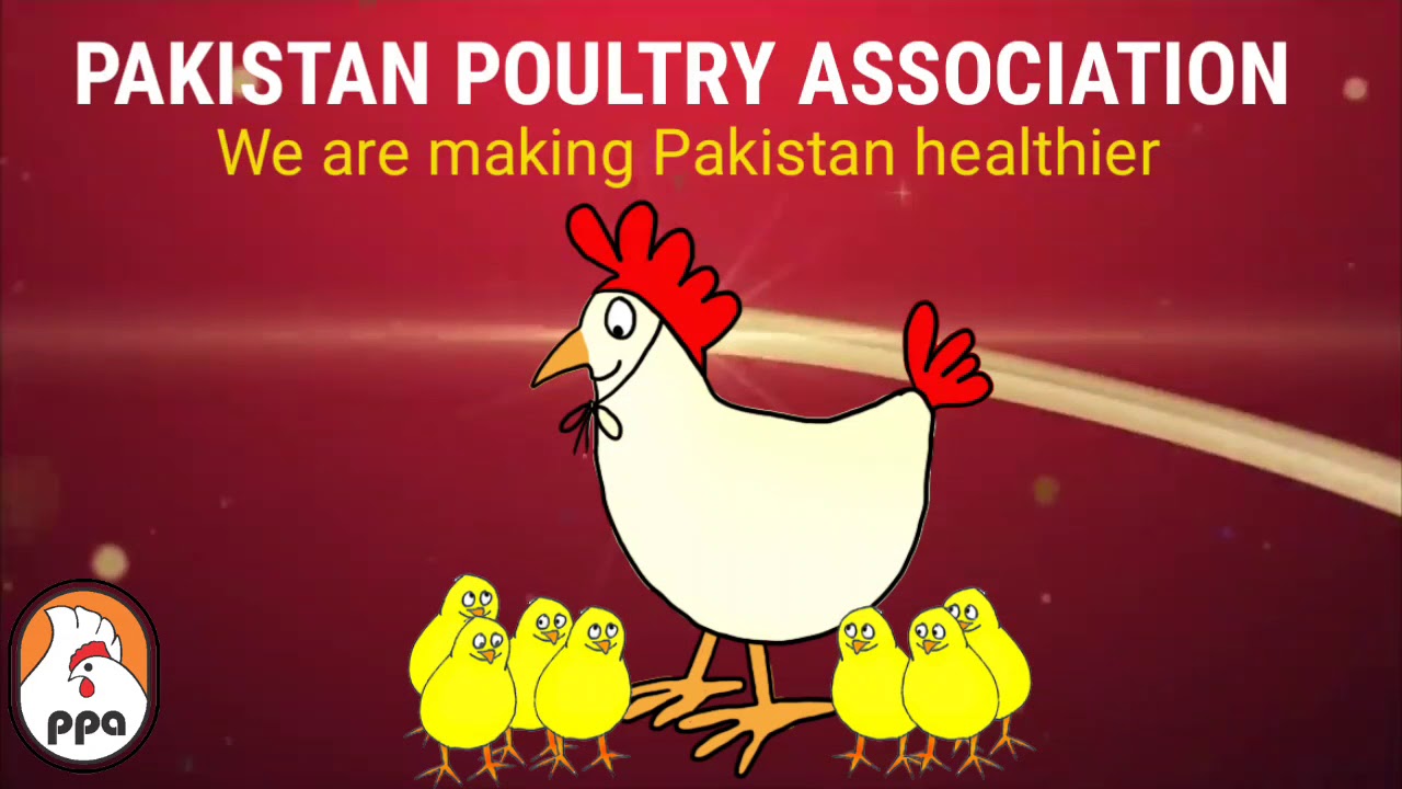 HAPPY NEW YEAR 2019. PPA awareness raising