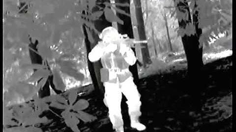 borderline surveillance