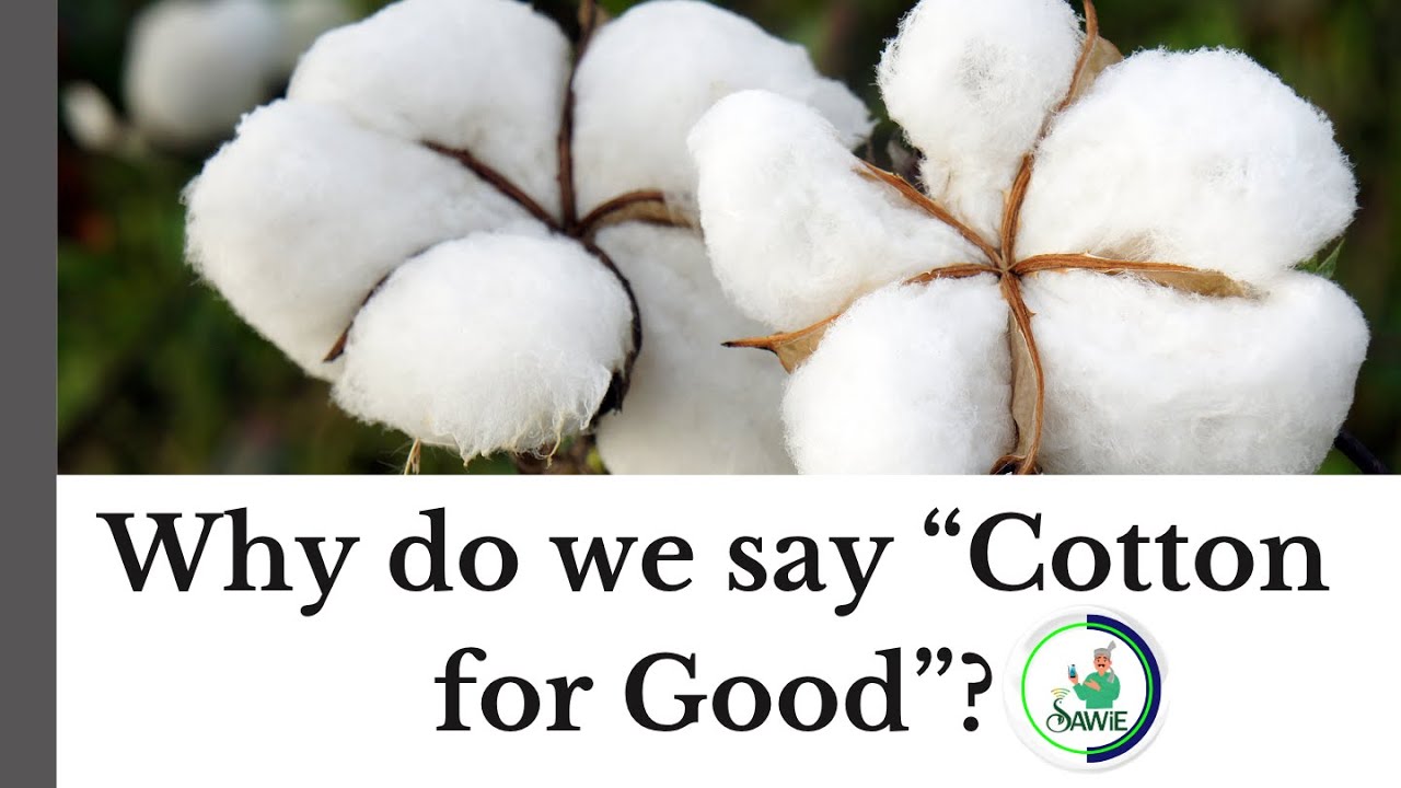Why do we say “Cotton for Good”? - YouTube
