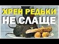 Галилео. Хрен редьки не слаще