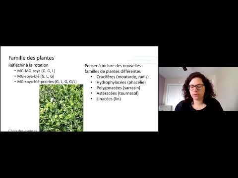Vidéo: Quelles plantes sont des cultures de couverture?