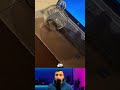 من اقوي المقالب اللي هتشوفها 😱😍