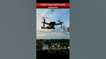 Dji mini 2 triggers obstacle avoidance  Dji mini 3 Pro #dji