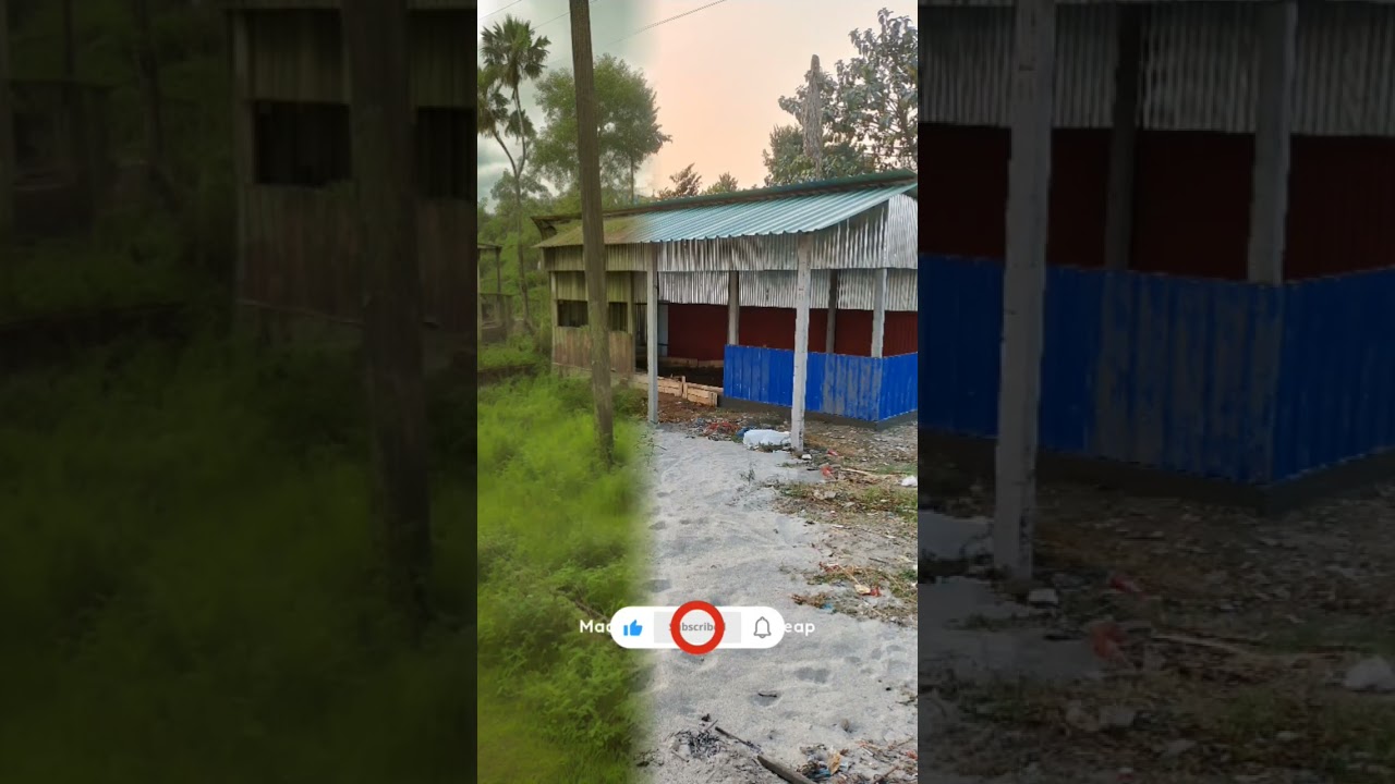 photoleap photo editor/al art // 