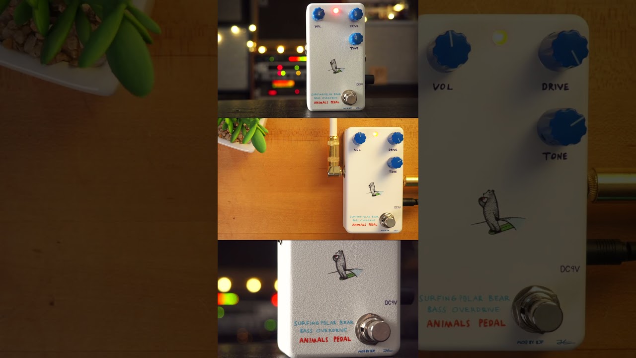 【10491】SURFING POLAR BEAR BASS OVERDRIVE Animals Pedal SURFING POLAR BEAR BASS OVERDRIVE MOD BY BJF