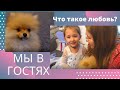 Влог / померанский шпиц и весёлая Эмили/что такое любовь