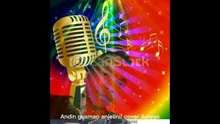 andin gusmao// amygo