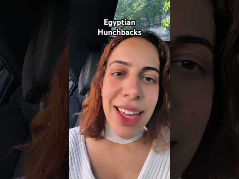 This Goes Right To The Top Egypt Egyptian Egyptianhistory Funny Comedy Ancientegypt مصر مصري