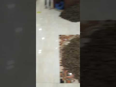 كوم البخور و العود في الأرض بخور عود Shorts