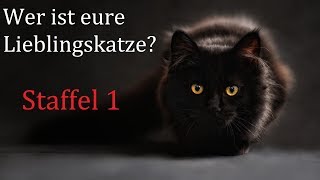 Warrior Cats: Top 10 Lieblingskatzen (Eure Wahl)