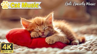 Music To Cure Cats With Sleep Anxiety Music For Cats To Sleep And Help Cats Relaxing