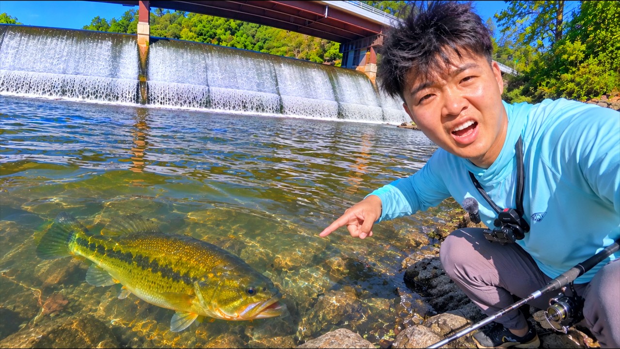 This WATERFALL Has Big Bass!