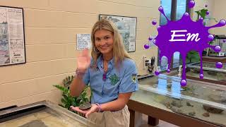 Camp Jekyll 2026: Welcome Video