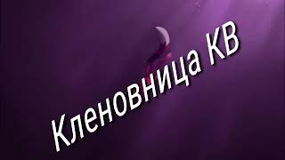 ~Коты Воители клип: Другая Реальность~ ~Коты Воители клип: Другая Реальность~