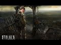 АУ ЩИТ ХИР ВИ ГО ЭГЕЙН (S.T.A.L.K.E.R. Anomaly) #1