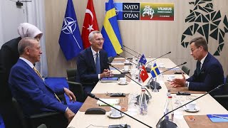 Эрдоган одобрил заявку Швеции на членство в НАТО