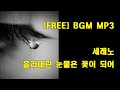 Sereno Flower Of Tears 세레노 흘러내린 눈물은 꽃이 되어 COVER Sereno Flower Of Tears 세레노 흘러내린 눈물은 꽃이 되어 COVER