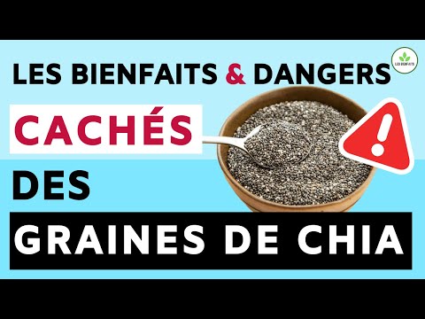 Vidéo: Quels sont les avantages pour la santé de Chia Seeds for Dogs?