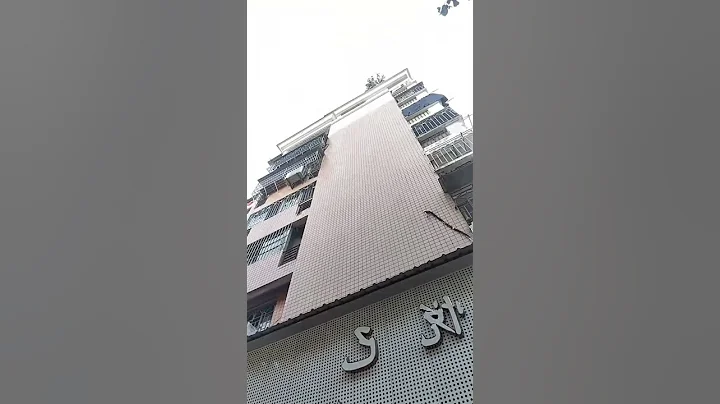 Cứ tưởng phân chim nhưng không thấy con nào cả