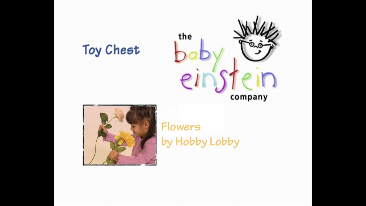 the toy chest company