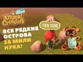 РЕЙТИНГ ВСЕХ ОСТРОВОВ ЗА МИЛИ НУКА! Animal Crossing New Horizons 🏝