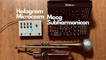 Hologram Electronics Microcosm,  Moog Subharmonicon, and Trumpet