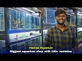 cheaper than kolathur | biggest aquarium in chennai | தமிழ்