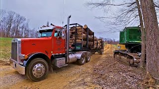 High Ball Logging💪 by Logger Wade 40,881 views 11 months ago 22 minutes