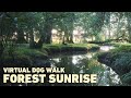 No ads dog tv for dogs to watch  virtual dog walk in ancient woodland  binaural nature sounds