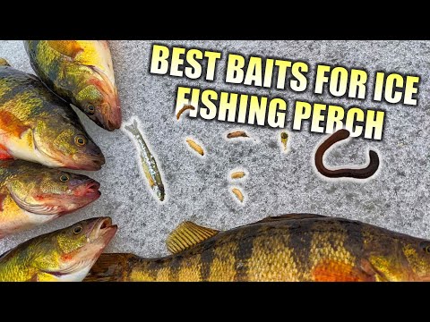 Best Ice Fishing