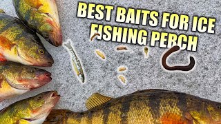 Best Ice Fishing Baits for Yellow Perch 