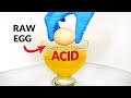 Egg in acid