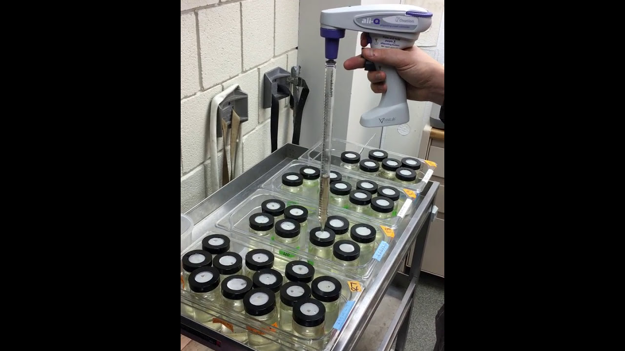 VistaLab's aliQ, aliquoting pipet controller, in action at Ithaca