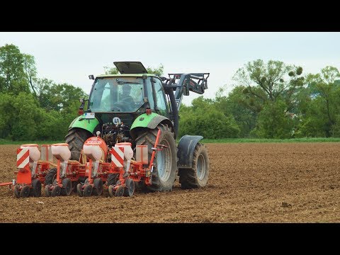 Maissaat 2018: Deutz